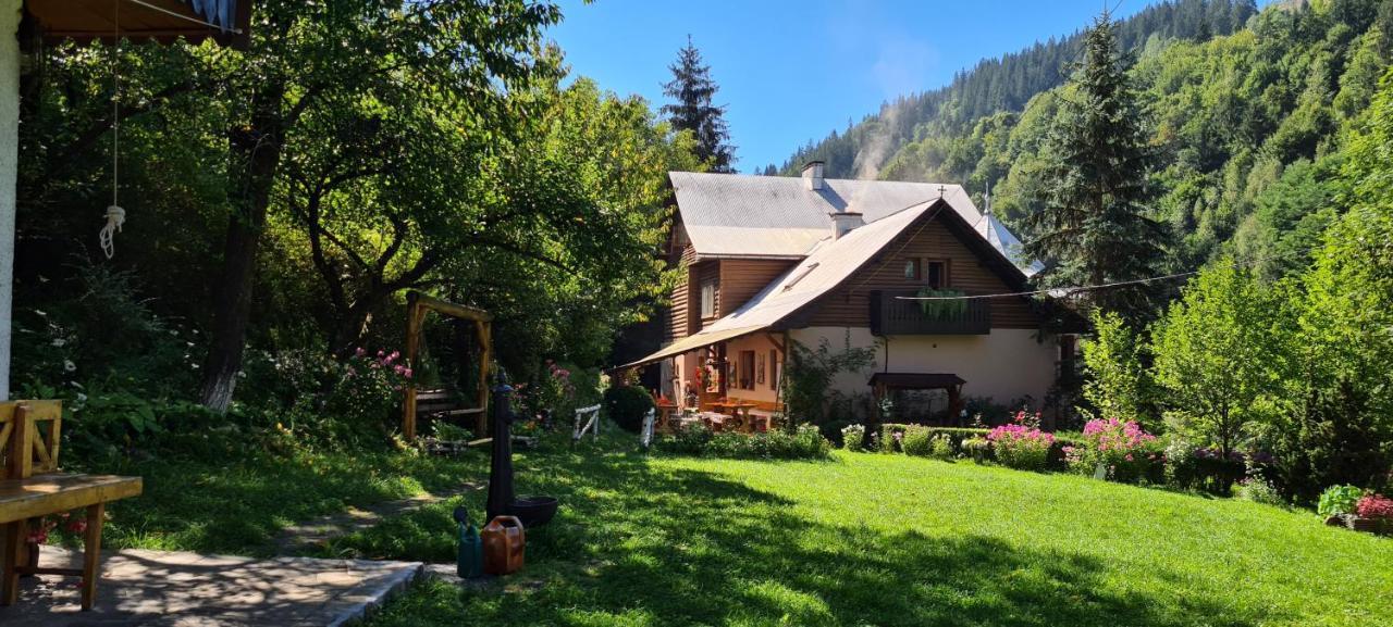 Pensiunea Aurora Albac Exterior photo