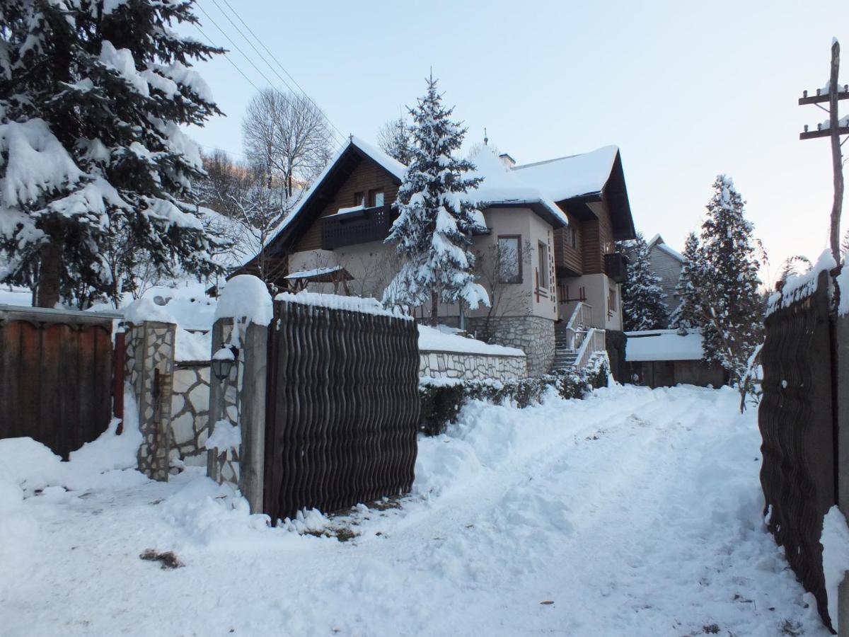 Pensiunea Aurora Albac Exterior photo