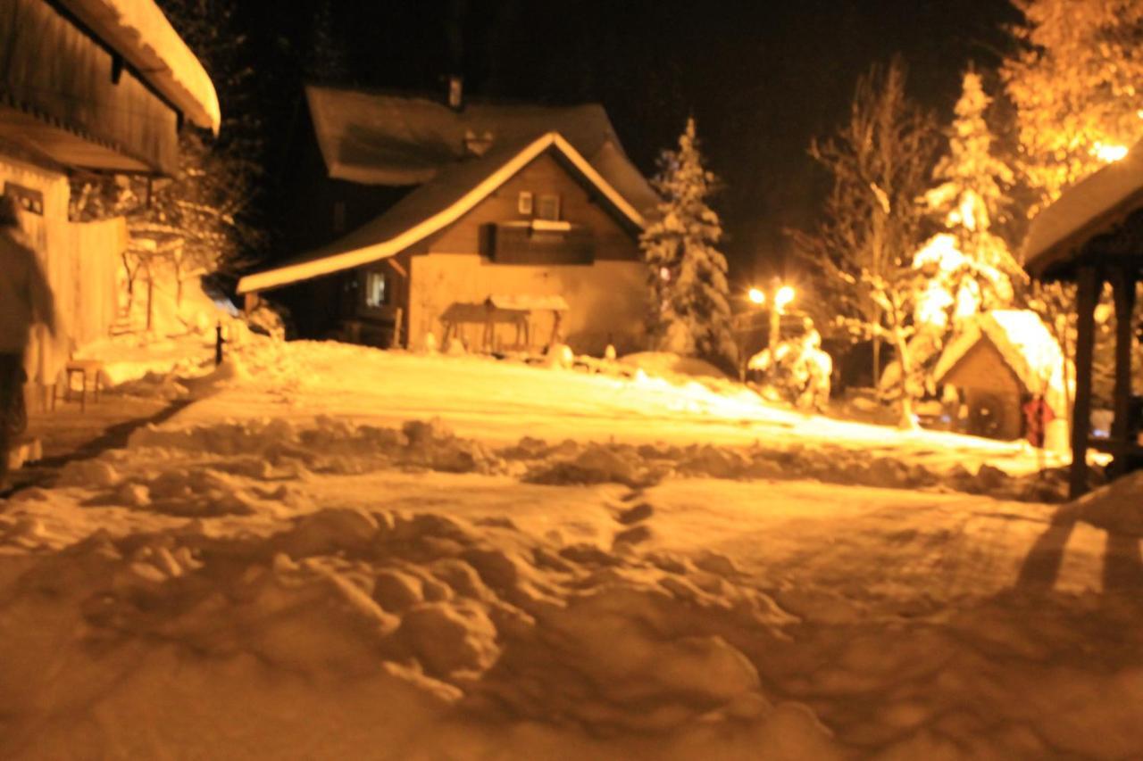 Pensiunea Aurora Albac Exterior photo