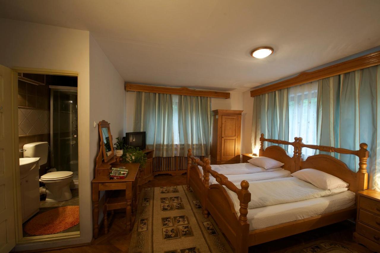 Pensiunea Aurora Albac Exterior photo